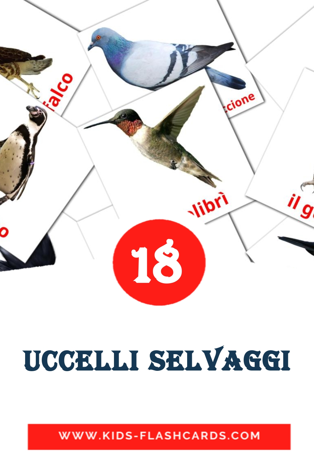 18 carte illustrate di Uccelli selvaggi per la scuola materna in italiano