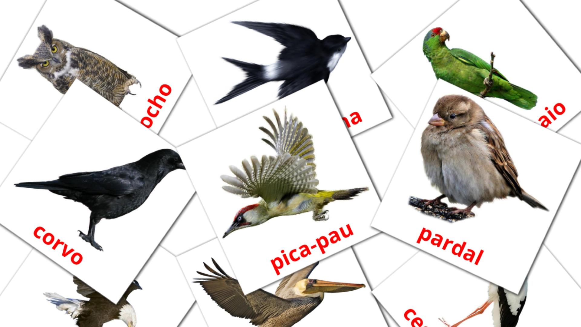 18 Flashcards de Pássaros Selvagens
