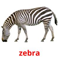 zebra Tarjetas didacticas